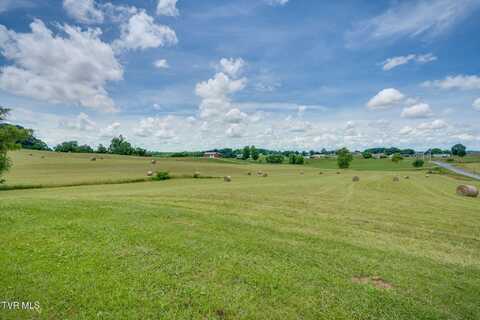 672 Treadway Trail, Telford, TN 37690