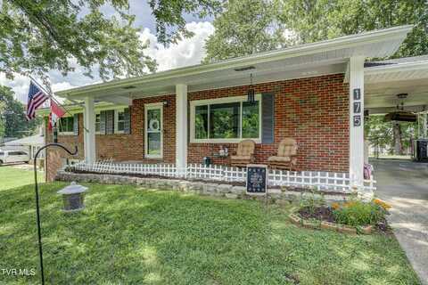 175 Shenandoah Drive, Johnson City, TN 37601