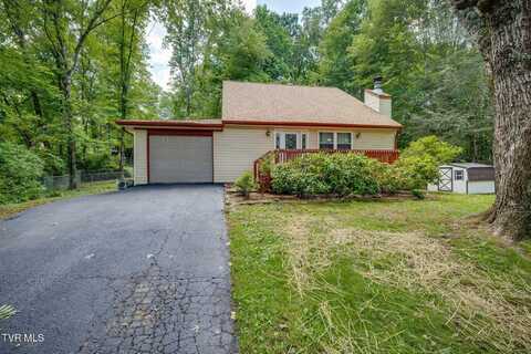 3 Monteray Court, Johnson City, TN 37604