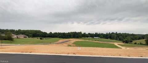 Lot 13 Larkins Farm Drive, Jonesborough, TN 37659