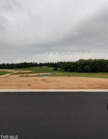 Lot 15 Steepleview Court, Jonesborough, TN 37659