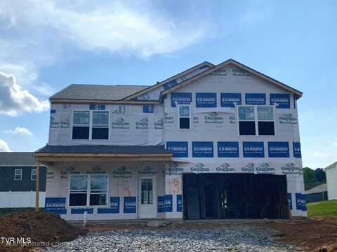 115 Tanasqui Drive, Johnson City, TN 37604