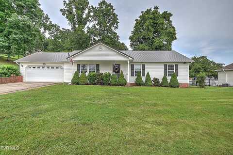 152 Nicole Drive, Mount Carmel, TN 37645