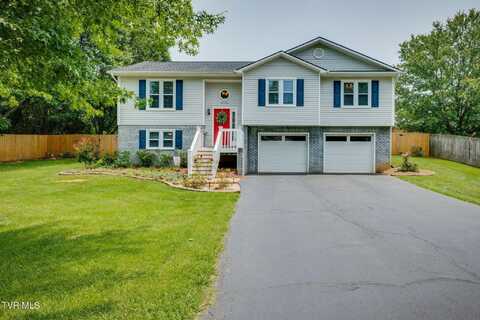 1104 Windsor Lane, Johnson City, TN 37601