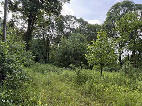 343 Clarence Potter Road, Mountain City, TN 37683