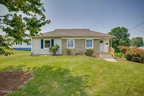 53 Tremont Place, Bristol, TN 37620