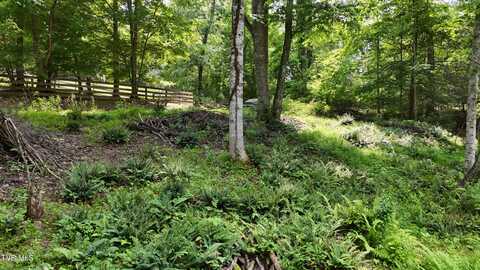 Tr 1 Atwood Point, Butler, TN 37640