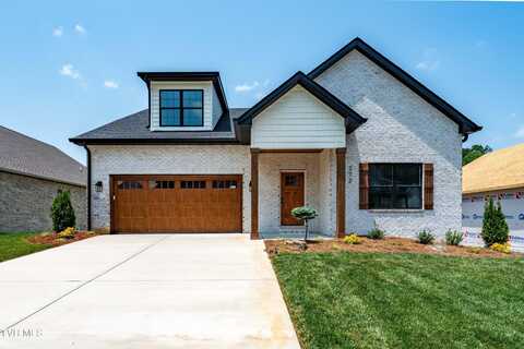 272 Winston Place, Johnson City, TN 37615