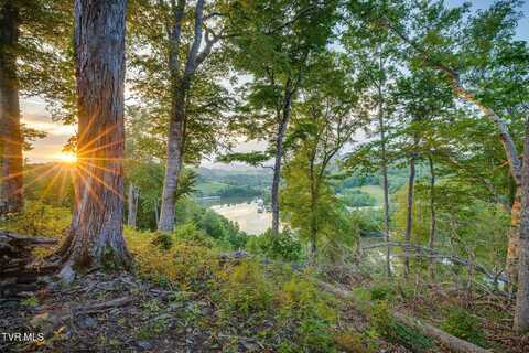 Lot 24 Cowan Town Road, Butler, TN 37640