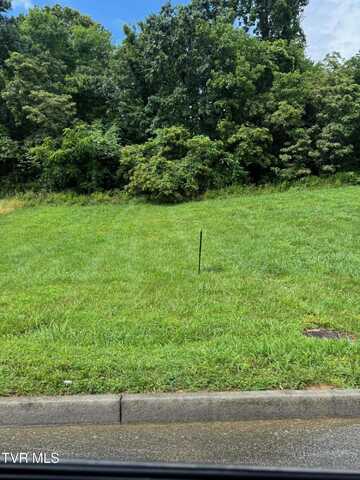 2219 Friendship Circle, Kingsport, TN 37665