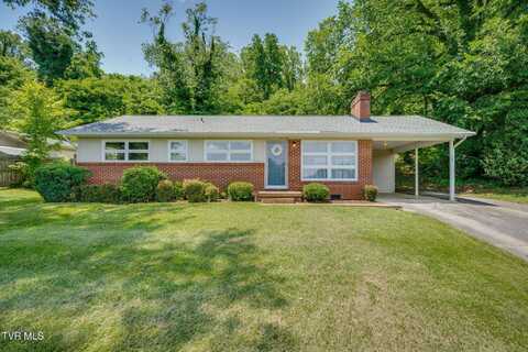542 Ranier Drive, Kingsport, TN 37663