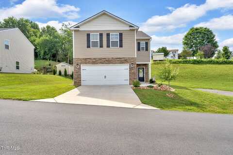 936 Pampas Drive, Jonesborough, TN 37659