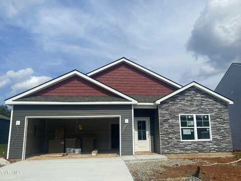 114 Tanasqui Drive, Johnson City, TN 37604