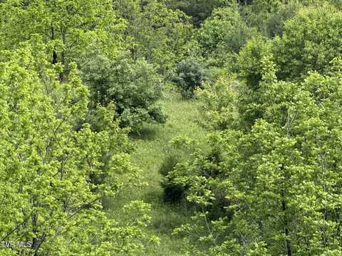 Tbd Johnson Hollow Road, Mountain City, TN 37683