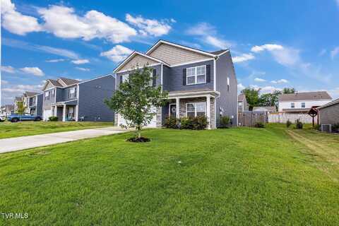 1058 Raccoon Lane, Piney Flats, TN 37686