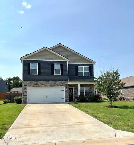 1058 Raccoon Lane, Piney Flats, TN 37686