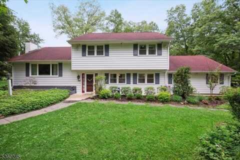 42 Wildwood Ter, Watchung, NJ 07069