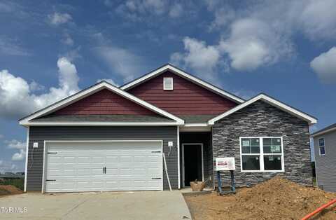 335 Cookie Loop, Johnson City, TN 37615