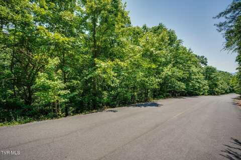 Lot 4 Walnut Bend Drive, Whitesburg, TN 37891