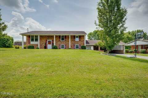 346 Skyland Drive, Bristol, TN 37620