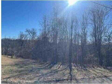 1167 Cherry Blossom Lane, Talbott, TN 37877