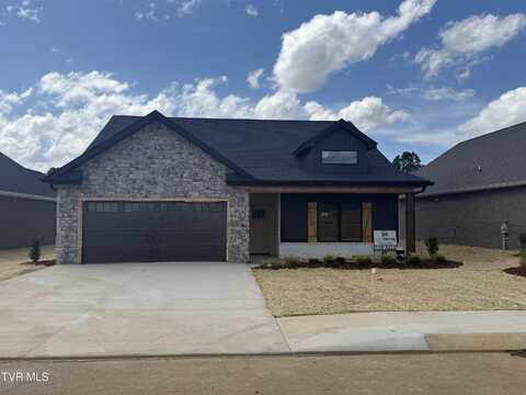 157 Marigold Lane, Jonesborough, TN 37659
