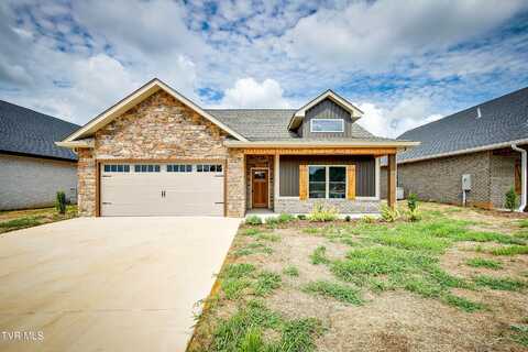 153 Marigold Lane, Jonesborough, TN 37659