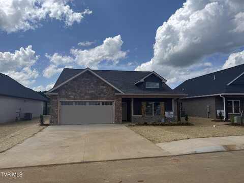153 Marigold Lane, Jonesborough, TN 37659