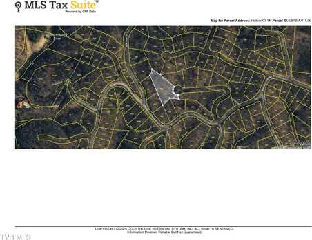 Tr 1 Hollow Court, White Pine, TN 37890