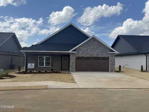 155 Marigold Lane, Jonesborough, TN 37659