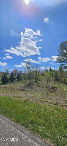 Tbd Honeysuckle Lane, Chuckey, TN 37641