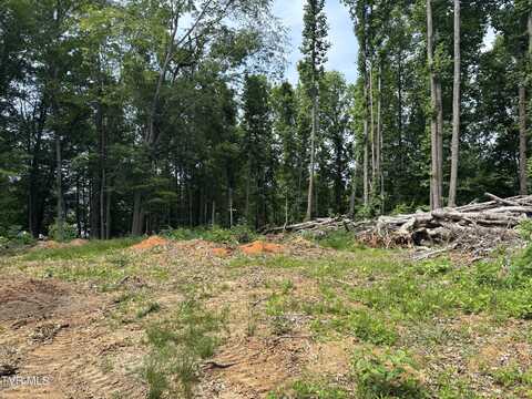 Tbd Buffalo Road, Johnson City, TN 37604