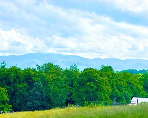 171 Garland Road, Limestone, TN 37681