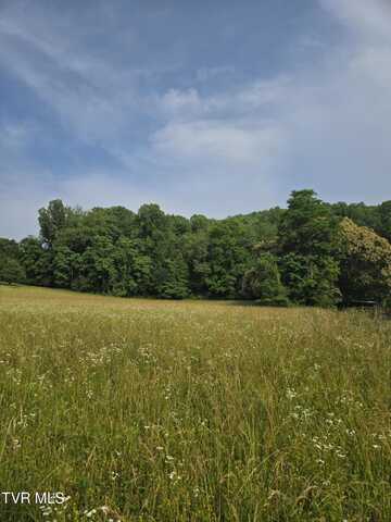 Tbd Mohawk North Drive, Erwin, TN 37650