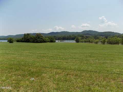 Tbd Highway 11w, Bean Station, TN 37708