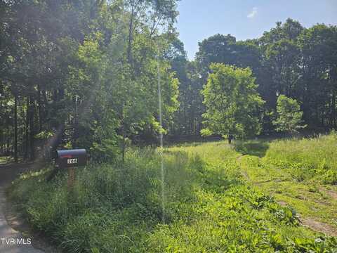 166 Dyer Road, Roan Mountain, TN 37687