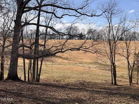 00 Jackson Road, Jonesborough, TN 37659
