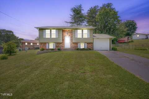 332 Magnolia Court, Piney Flats, TN 37686