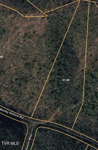 Lot 4 Bailey Hollow Road, Erwin, TN 37650