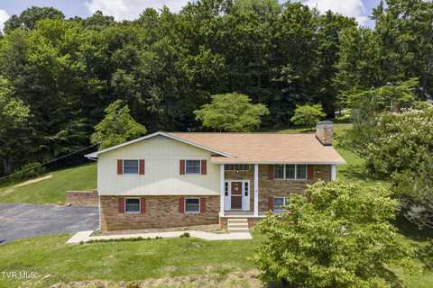 1110 Caprice Street, Church Hill, TN 37642