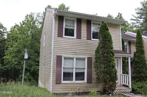 45 Laurel Ridge, Big Stone Gap, VA 24219