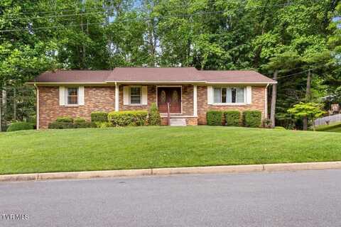 2 Mistletoe Court, Johnson City, TN 37604