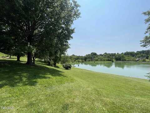 81 Wellington, Bristol, TN 37620