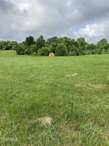 179 Plantation Drive, Rogersville, TN 37857