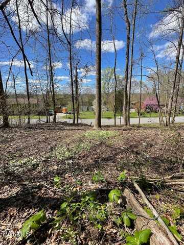 Tbd Kings Bay Drive, Kingsport, TN 37660