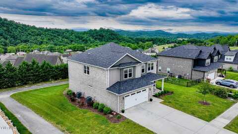 4073 Maize Place, Piney Flats, TN 37686