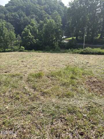 Tr 1 Marbleton Road, Unicoi, TN 37692