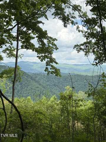 00 Heavens View (118 Acres) Lane, Gate City, VA 24251