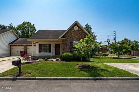 1010 Appaloosa Trail, Johnson City, TN 37604