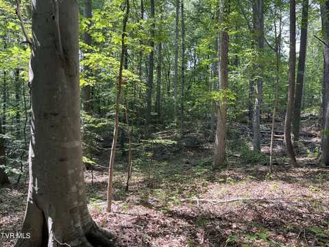 000 Hwy 70s, Rogersville, TN 37857